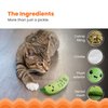 Catstages Crunchy Pickle Kicker Dental Catnip Cat Toy