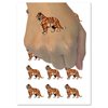 Regal Standing Bengal Tiger Temporary Tattoo Water Resistant Fake Body Art Set Collection - 15 2" Tattoos (1 Sheet)
