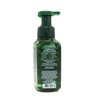 Generic Fresh Balsam, Bath and Body, Gentle Foaming Hand Soap, 8.75 fl oz
