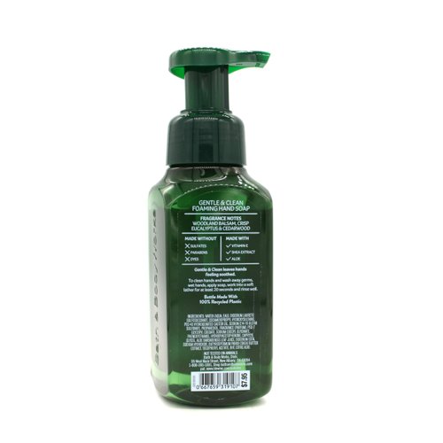Generic Fresh Balsam, Bath and Body, Gentle Foaming Hand Soap, 8.75 fl oz