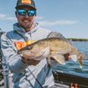 Northland Tackle Tungsten Stand Up Jig Heads, 2 Packs, Walleye, 3/8 Oz Size for Walleye, Bass, & Crappie