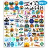 100PCS Summer Kayak Kayaking Temporary Tattoos Stickers Themed Birthday Party Decorations Supplies Decor Favors Beach Canoe Kayaker Hawaiian Surf Tattoo Gifts For Kids Boys Girls Class Prizes Carnival