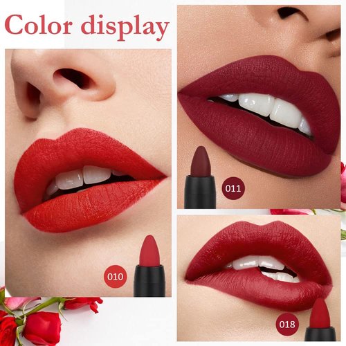 evpct DNM 3Pcs Dark Ruby Deep Red Matte Lipstick and Lip Crayon Sticks Liner Pencil Set Red Matte Lip Liner and Liquid Stay on Lipstick 10&11&18