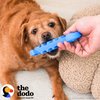 The Dodo Nylon Tasty Chew, Bacon Flavored; Dog Chew Toy with Flavored Center; Enrichment Toys for Dogs, Lasting Toys for Dogs, Activity Chew Toy