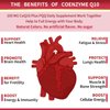 CoQ10-100mg-Softgels with PQQ, BioPerine & Omega-3, High Absorption Coenzyme Q10 Supplement, Powerful-Antioxidant, Support Heart & Energy-Production 120 Servings, Non-GMO
