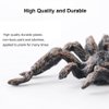4 PCS Realistic Spider Figures, Gawertoy Giant Spider Action Models Plastic Animal Fake Spider Toys Educational Learning Toys Birthday Gift April Fools' Day Halloween Prank Props Christmas Party Favor