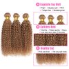 26 28 30 Inch Honey Blonde Bundles Color #27 Kinky Curly Human Hair Bundles Brazilian Unprocessed Virgin Hair Color #27 Bundles Human Hair Honey Blonde Curly Bundles Hair Weave Blonde Bundles