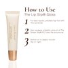 Sara Happ The Dream Slip Duo: Original Overnight Lip Mask + Dream Slip #2 Gently Restore, Heal and Renew Lips