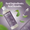 Sage and Rosemary Shampoo Sulfate Free - Sage Oil Clarifying Shampoo for Build Up and Scalp Moisturizer - Oily Hair Shampoo for Greasy Hair and Dry Scalp Treatment with Essential Oils for Hair