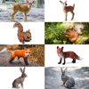 EOIVSH 6Pcs Woodland Animal Figurines - Forest Animal Toy Figures with Deer Rabbit Fox Squirrel - Miniature Animal Toys for Gift, Cake Topper&Decoration