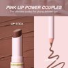 USHAS Lipstick and Lip Liner Combo Set 2 in 1 Waterproof Lipstick and 24H Lip liner Set Long Lasting Lipsticks for Women, Matte Lipstick Pen with Lip Liner Makeup Kits Set (S8, Pack of 1)