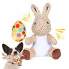 Wonfly Easter Dog Squeaker Toys (2 pcs), Rabbit & Eggs - 8.5in Plush Dog Toy with Squeaker, Cotton Material, Daily Entertainment & Relieve Anxiety, Chew Toy for Dogs, Not Water Resistant