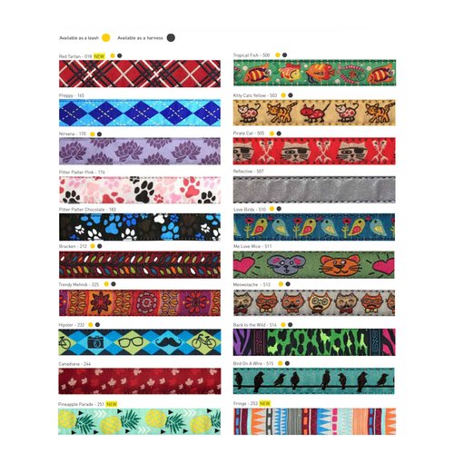 RC Pets Kitty Breakaway Cat Collar, Pirate Cat