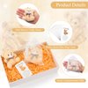 Zhanmai Set of 12 Mini Plush Bears Gift Little Pocket Bear for Kids Inspirational Bear Hug Gift Card Organza Bags for First Day of School Back to School Graduation Party Favors(Lovely Style, 8 cm)
