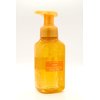 Generic Leaves, Bath and Body, Gentle Foaming Hand Soap, 8.75 fl oz