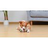 Elf for Pets 6" Buddy The Elf Dog Plush Squeaker Toy | Squeaky Plush Toys for Dogs | Officially Licensed Pet Product for Dogs and Pet Stocking Stuffers (FF23462)
