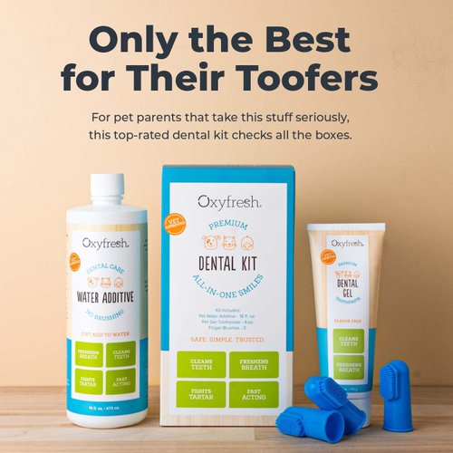 Oxyfresh Premium Pet Dental Kit for Dogs & Cats – Easy Solution for Pet Fresh Breath, Clean Teeth, Control Plaque & Tartar – Vet Formulated Pet Toothpaste, 1oz + Water Additive, 3oz + 3 LG Brushes Kit