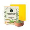 AATMANA Mint & Lemongrass Handmade Natural Bar Soap for Men & Women, Moisturizing Body & Face Soap, 7.9 Oz Soap Bars (3 Soap Set)