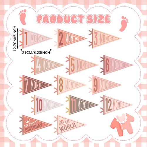 VitalCozy 14 Pcs Baby Felt Pennant Milestone Signs Monthly Milestone Banner Flags Pennant Triangle Banner Age Milestone Flag Signs for Boy Girl Newborn Birthday Party Decor(Vivid Colors)