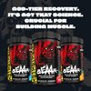 Mutant GEAAR - 9.4g of EAA Powder + Arginine, 7g BCAAs, 4g Leucine, Electrolytes, Coconut Water, No Artificial Colors or Flavors, Delicious Taste - 30 Servings - Rocket Pop - 400g