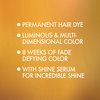 L'Oreal Paris Superior Preference Fade-Defying + Shine Permanent Hair Color, 7LA Lightest Auburn, Pack of 3, Hair Dye