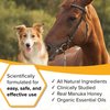 HoneyCure, Natural Veterinary Ointment for Wound Care, Manuka Honey, for Dogs, Cats, & Horses, 1oz. Tube