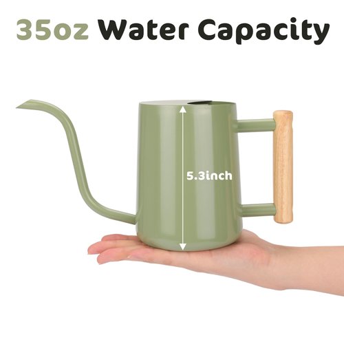 CEWOR Watering Can Indoor Plants Sage Green 35 oz Cute Watering Can Indoor Metal Watering Can Pot with Long Spout for Indoor House Plants Bonsai Outdoor Garden Flower Decorative