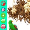 Bonka Bird Toys 3866 Natural Foraging Star Small Medium Bird Toy Vine Ball Crinkly Paper Forage Chew Shred Cockatiels Parakeets Conures and Other Similar Birds