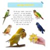 ZBJBinCH Bird Toys for Parakeets, Windmill Roller Parrot Toy, Parakeet Toys Wheel, Cockatiel Toy for Bird Cage, Bird Enrichment Toys, Chewing Exercise for Budgies Conure African Grey (2pcs)