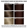 AGE beautiful Permanent Hair Color Dye Liqui Creme | 100% Gray Coverage | Anti-Aging Haircolor | Biotin for Thicker, Fuller Hair | Professional Salon Coloring | 4RM Dark Red Mahogany Brown