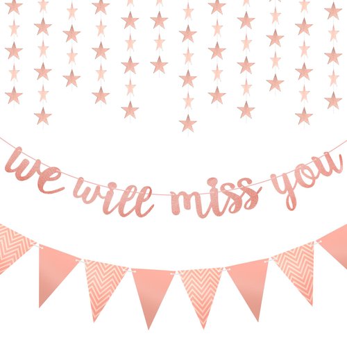 We Will Miss You Rose Gold Glitter Graduation Banner and Triangle Flag Banner Star Swirl Banner for Retirement Farewell Office Going Away Work Party Decorations
