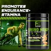 FXSUPPS Amino Hero Diced Pineapple Flavor(25 Servings)|Post-Workout Recovery Drink for Men and Women|Energy Powder Mix with BCAA, EAA, and Electrolytes|Promotes Endurance and Healthy Muscles - 1 Pack
