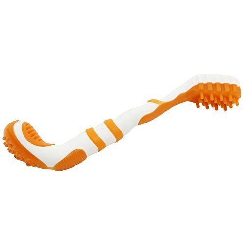 Pet Life ® 'Denta-Brush' TPR Durable Tooth Brush and Dog Toy