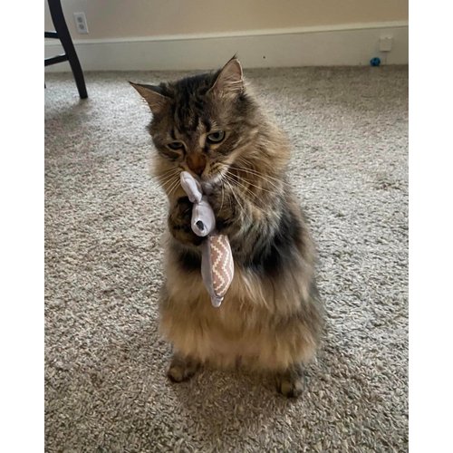 Furry Friend Catnip Mouse Cat Toy