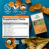 ORGANIC INDIA Tulsi Turmeric Ginger Herbal Tea - Stress Relieving & Harmonizing, Immune Support, Aids Digestion, Vegan, Caffeine-Free - 18 Infusion Bags, 6 Pack