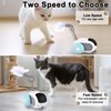 Petmolico Smart Interactive Cat Toy Remote Control Cat Exercise Toys for Bored Indoor Electronic Cat Toys Blue
