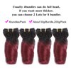 XCCOCO 10A Short Ombre Loose Wave Hair 4 Bundles 10 10 10 10inch (50g/bundle) Ombre Burgundy Wavy Red Wine Peruvian Virgin Human Hair Short Soft Bob Curly Weave(1b/99j#)