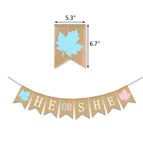 Fall Leaf Baby Banner Autumn Maple Baby Shower Decoration He Or She Gender Reveal Party Supplies Blue Pink
