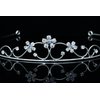 Princess Bridesmaid Flower Girl Rhinestone Crystal Tiara (Blue Crystals Silver Plated) T460
