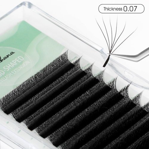 NATUHANA W Shaped Clover Eyelashes Extension 6D Premade Fans 0.07mm C Curl 8-14 Mixed Tray Volume Lash Cluster W Lashes Supplies Automatic Blooming Flower Lash Extensions (6D black ; 0.07 C,8-14 MIX)