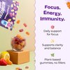 Ashwagandha Gummies and Lions Mane Mushroom Gummies Supplement - Organic - Reishi, Cordyceps, Turkey Tail, Maitake, Shitake, Chaga - Immune Defense, Boosts Cognitive Performance, Vegan, Low Carb