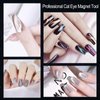 ZIRATONES Cat Eye Magnet for Nails, 5.9inch Super Long Double-head Nail Polish Magnet Pens Magnet Stick 3D Magnetic Cat Eye Gel Polish Nail Art Tool, for Home DIY, Salon, Studio