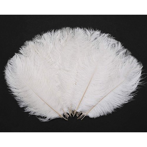 Hollosport 30PCS Bulk White Ostrich Feathers 10-12 Inches for Centerpieces Party Wedding Home Decorations Dream Catchers Vases Crafts Christmas Tree (White)