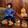 Marspark 9 Pcs Wild Western Party Decorations Western Centerpieces for Tables Cowboy Honeycomb Centerpieces 3D Cowboy Western Theme Baby Show Birthday Party Supplies