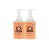 Moon Valley Herbal Foaming Hand Soap, Grapefruit Thyme 2 Pack, Vegan, Recyclable Bottle