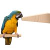 Parrot Chew Stix (Parrot Chew Stix - Set of 6 Parrot Toys)