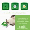 Catit 2.0 Mini Flower Drinking Fountain – Cat Water Fountain with Triple Filter and Ergonomic Drinking Options,Green