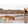 Ruffwear, Pacific Ring Dog Toy, Interactive Fetch and Tug Toy for Playing and Training, Sockeye Red