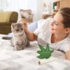 Glaciart One Catnip Joint & Leaf Cat Toy Set | Cat Crack for Funny Cats, Stimulating Cat Toys for Boredom, Exercise & Play | Filled w/Organic Catnip to Excite/Calm Kitty | Organic Idea