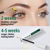Biotin Lash Serum - Eyelash & Eyebrow Growth Serum. Eyelash & Eyebrow for Thick Lashes and Brows Korean Dermatologist-Conceived 0.35oz